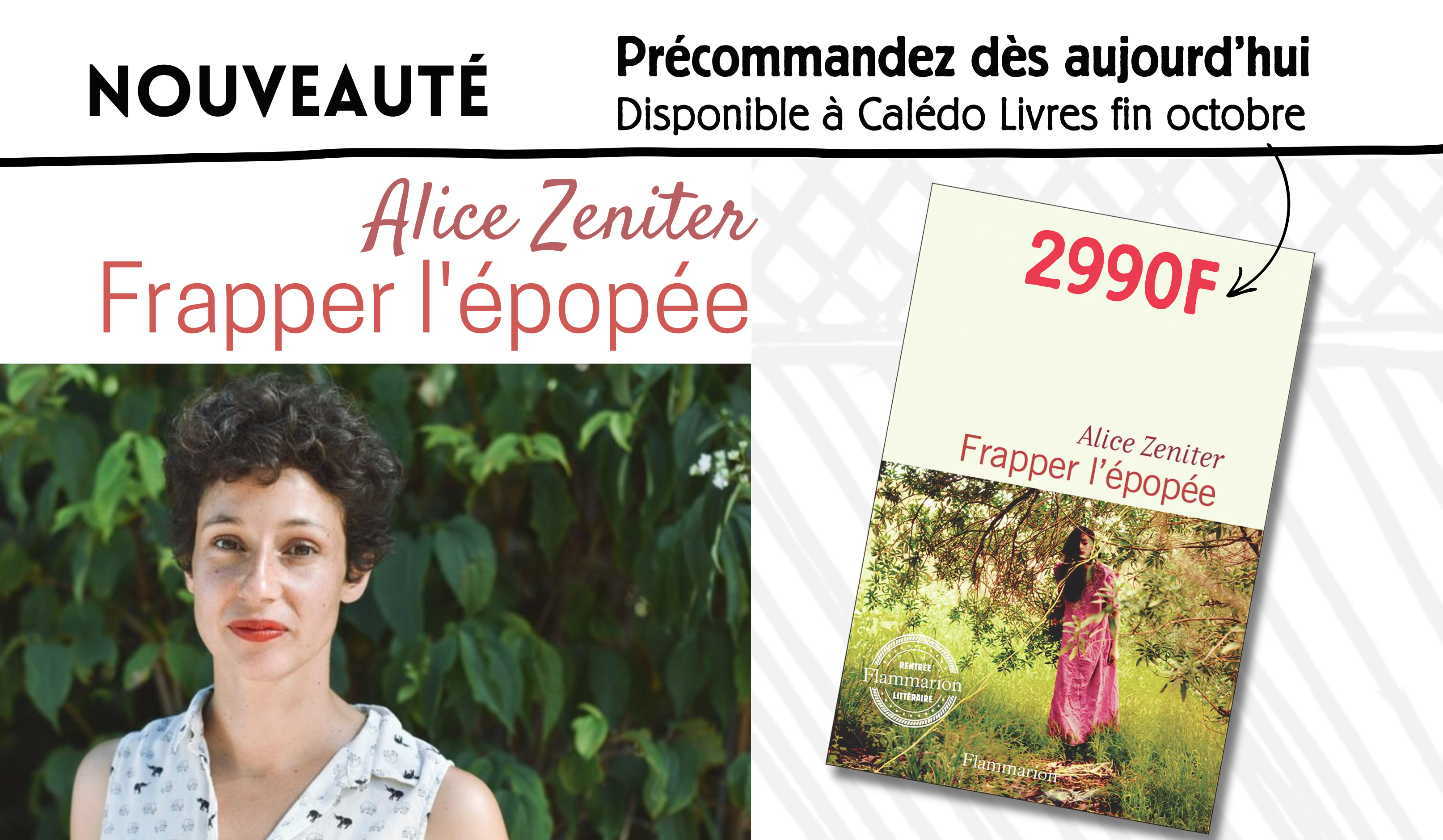 Précommandez le dernier ouvrage d'Alice Zeniter - FRAPPER L'EPOPEE